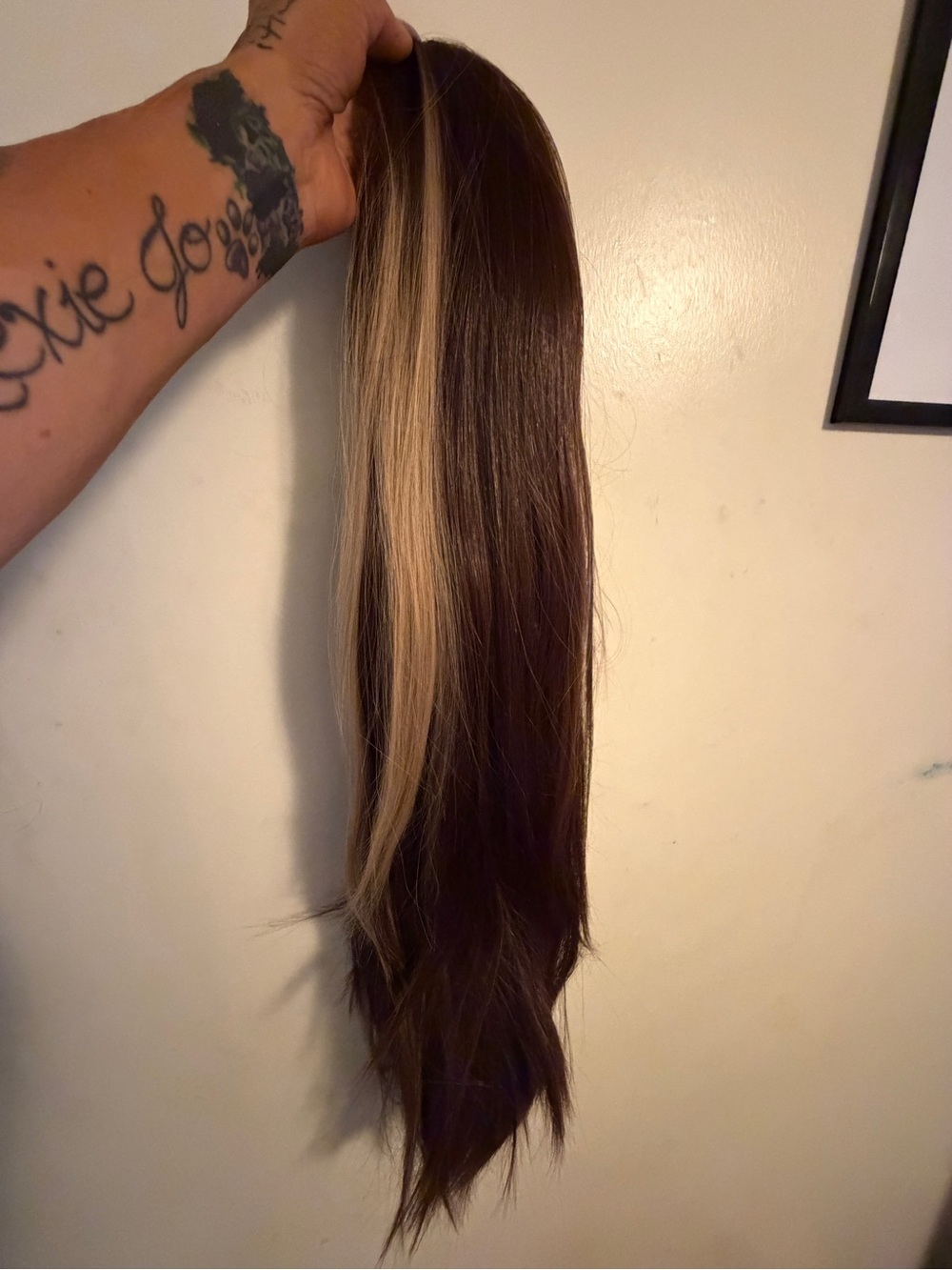 Long Two-Tone Brown and Blonde Wig - 30 Inches BNWOT